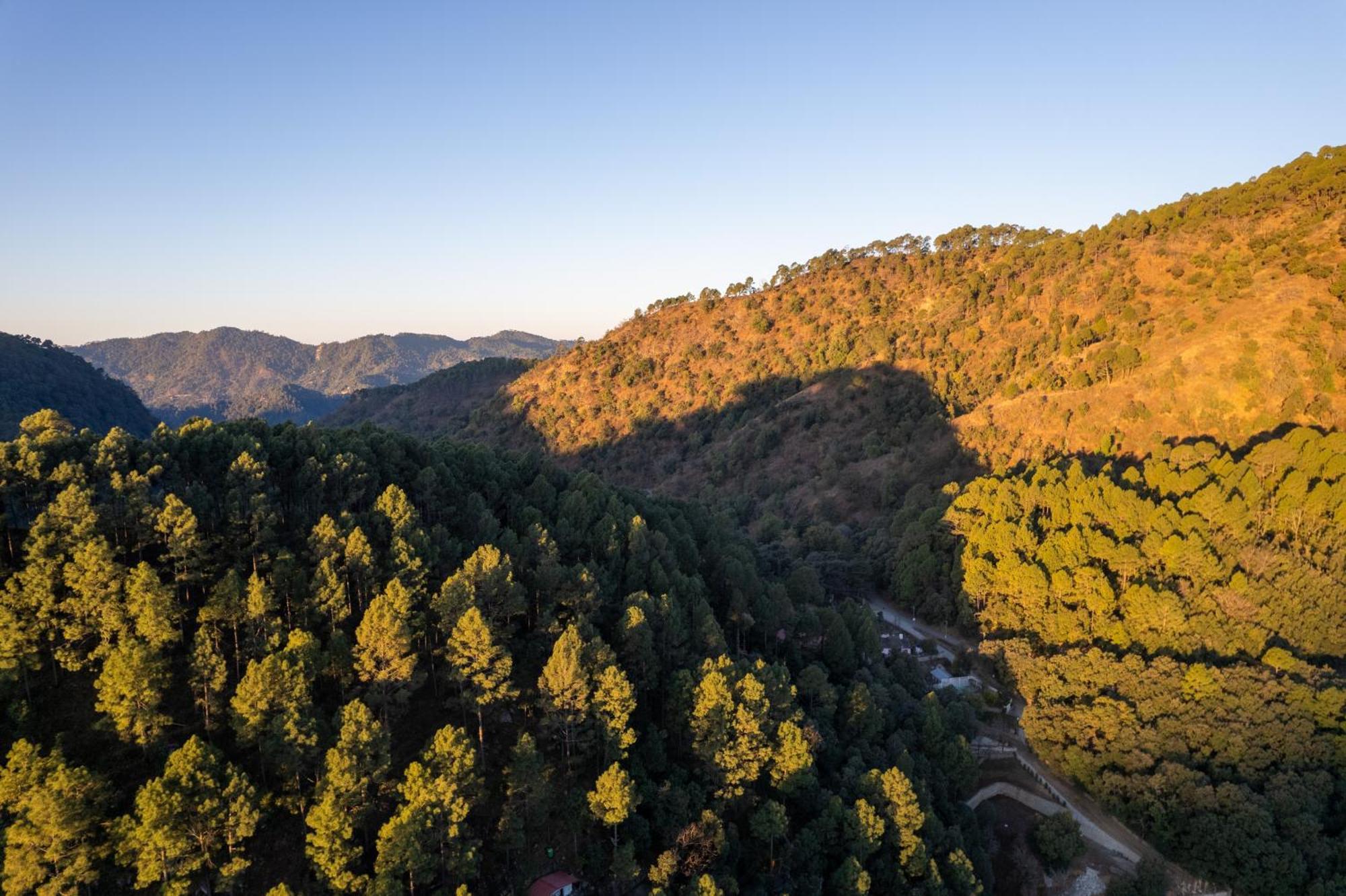 The Canadian Woods Resort Nainital Luaran gambar